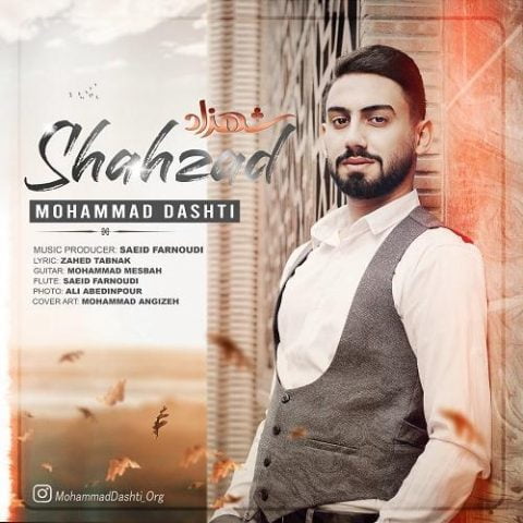 دانلود آهنگ جدید محمد دشتی با عنوان شهزاد